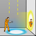 Portal Flash Version